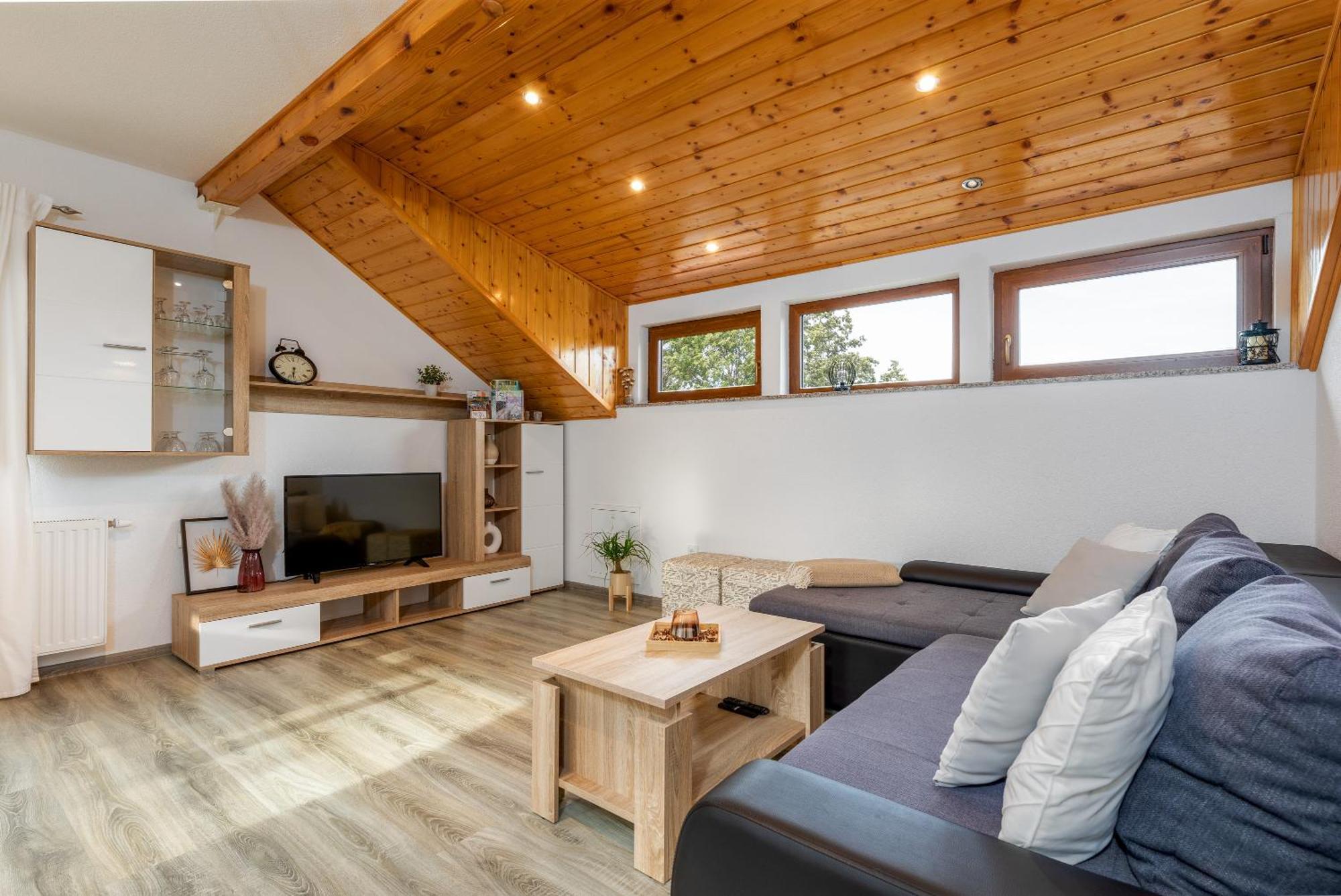 Apartment Sara Раковица Экстерьер фото